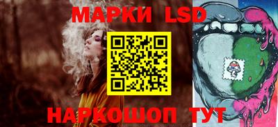 крисы Бийск