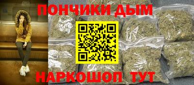 крисы Бийск