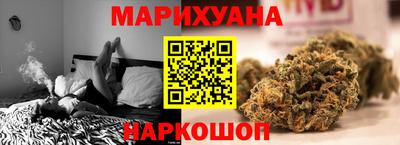 крисы Бийск