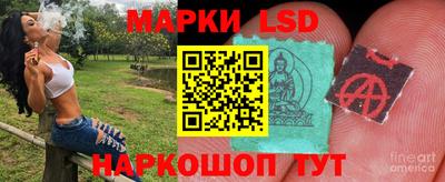 PSILOCYBIN Беслан