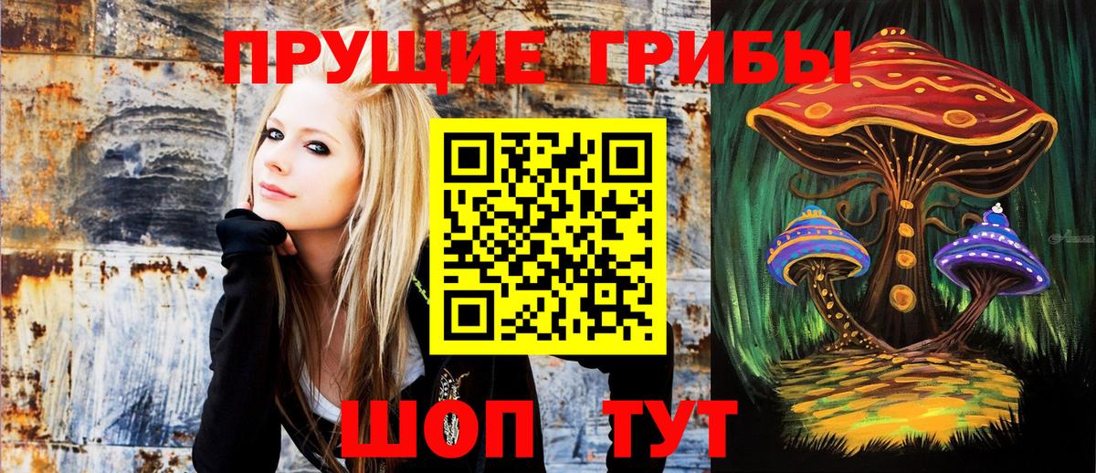 Псилоцибиновые грибы Psilocybine cubensis Кирово-Чепецк